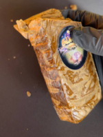 Buy Best Golden Boy Farm