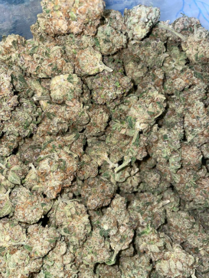 Best Rozay Strain