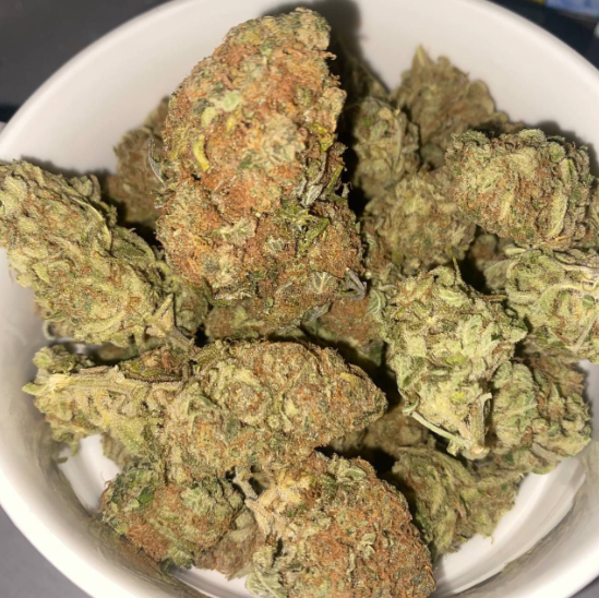 orange bud Orange Bud